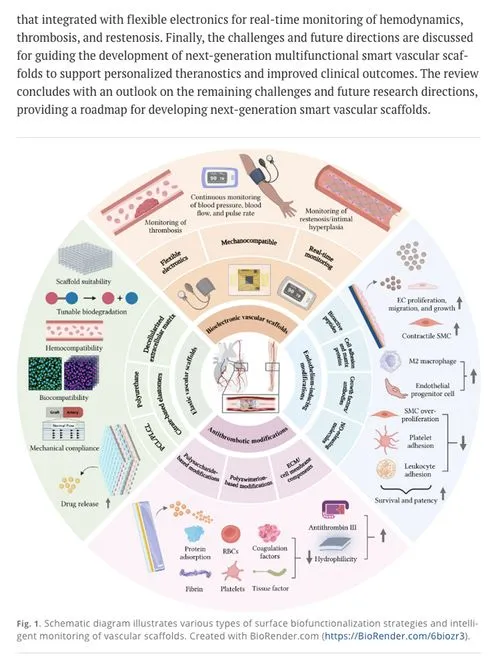 Circular schematic illustrating surface biofunctionalization strategies and intelligent monitoring of vascular scaffolds, detailing mechanocompatibility, endothelial modifications, and antithrombotic modifications with associated cellular and molecular interactions.