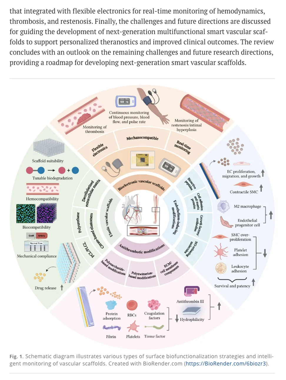 Circular schematic illustrating surface biofunctionalization strategies and intelligent monitoring of vascular scaffolds, detailing mechanocompatibility, endothelial modifications, and antithrombotic modifications with associated cellular and molecular interactions.