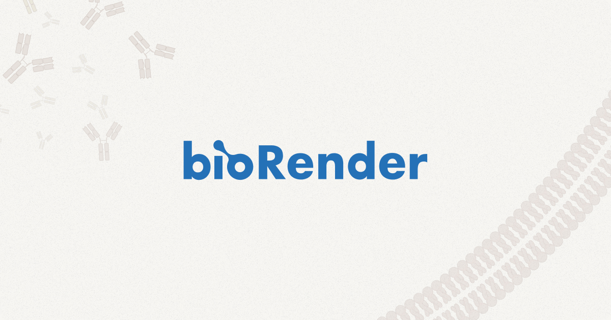 biorender.com
