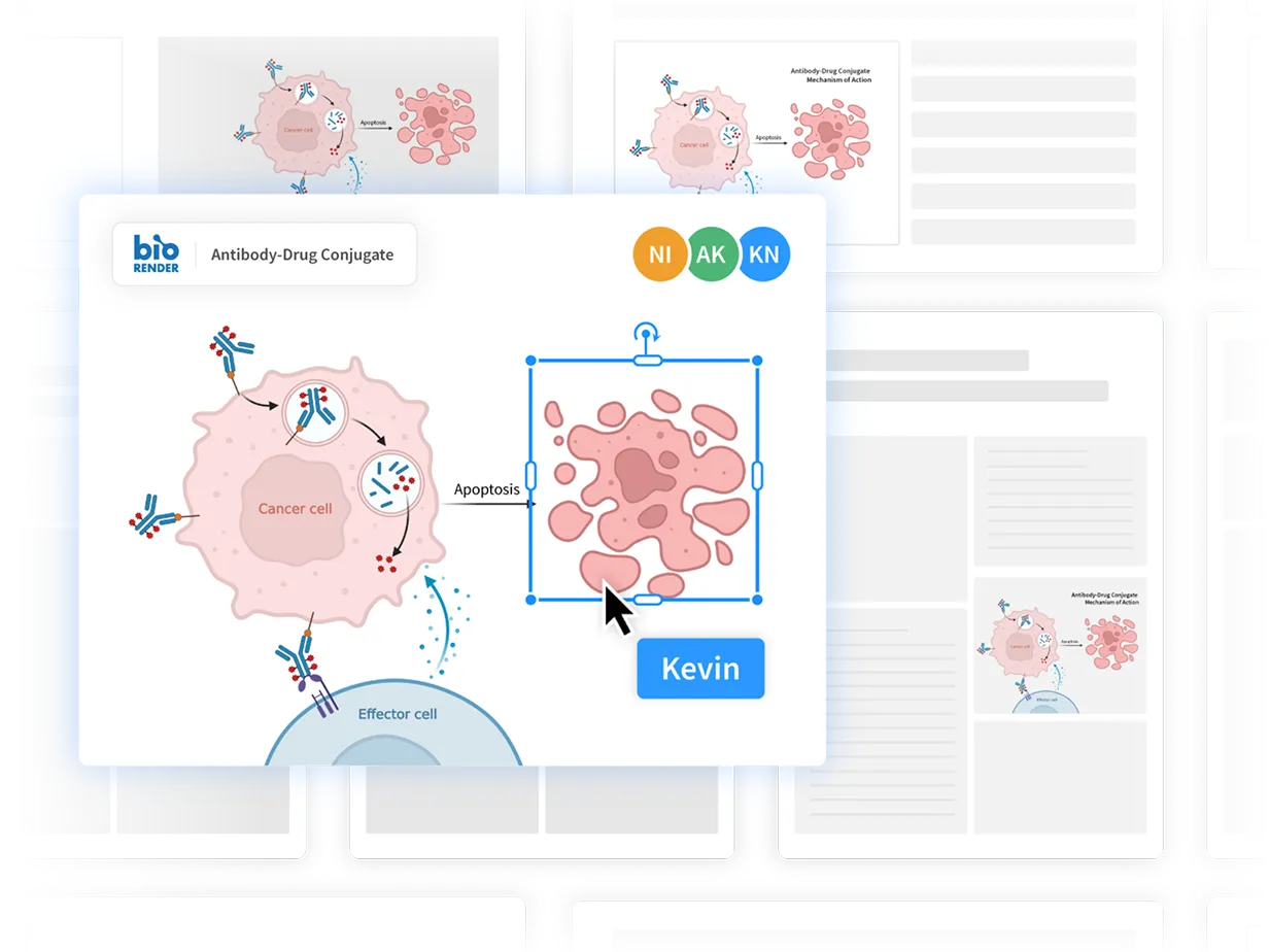 Different Users collaborating on biorender UI