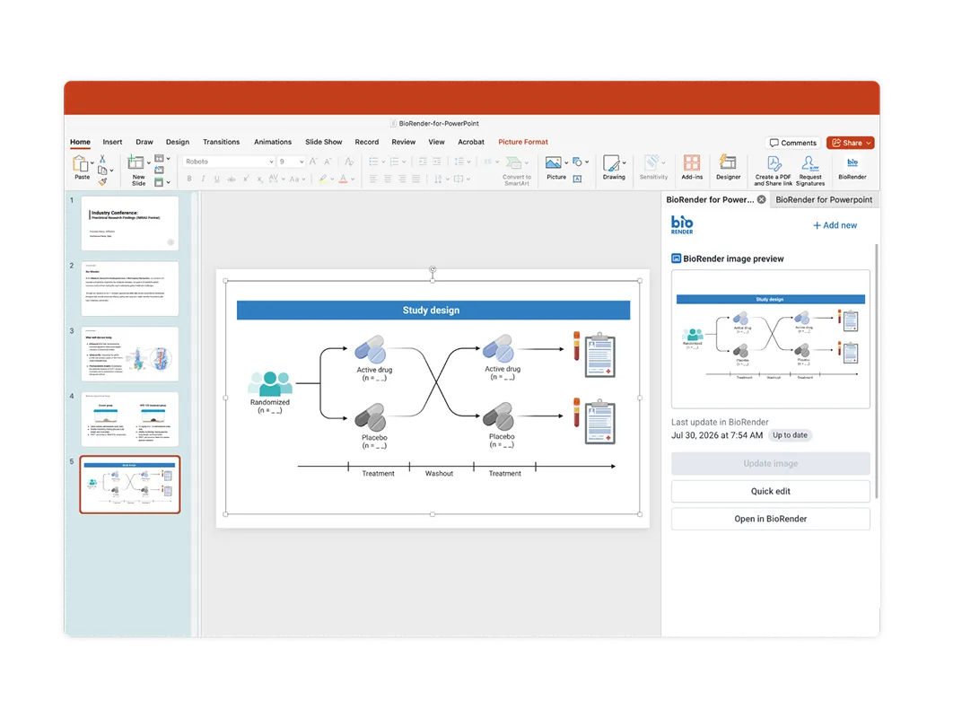Showing Biorender diagram on slide deck creation software