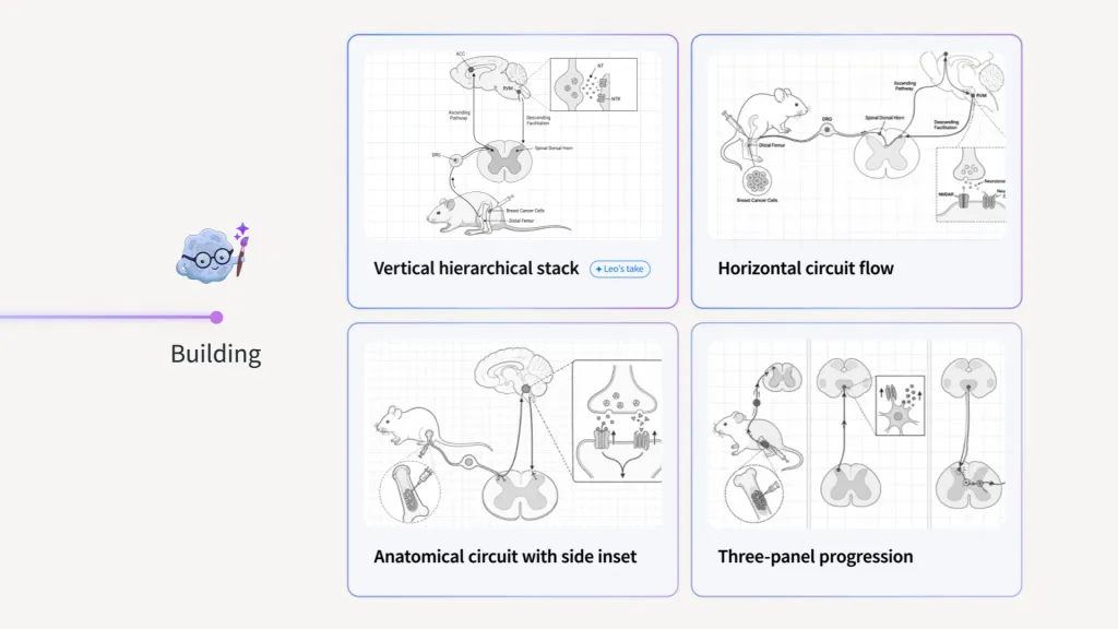 Diagram showing four different schematic layouts of a neural circuit involving a mouse, spinal dorsal horn, dorsal femur, and breast cancer cells. The options are Vertical hierarchical stack, Horizontal circuit flow, Anatomical circuit with side inset, and Three-panel progression, each illustrating different ways to represent neural pathways and synaptic connections.