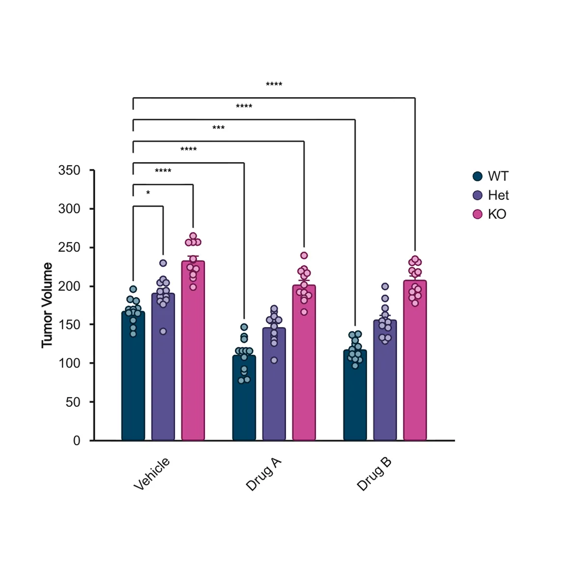 Bar chart showing tumor volume for three groups labeled Vehicle, Drug A, and Drug B, each with three subgroups: WT, Het, and KO. KO has the highest tumor volume across all groups, followed by Het and then WT with the lowest. Statistical significance is indicated by asterisks above the bars, showing significant differences between groups.