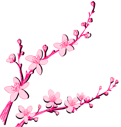 about-us-the-izakaya-japanese-bar-lounge-west-loop-chicago