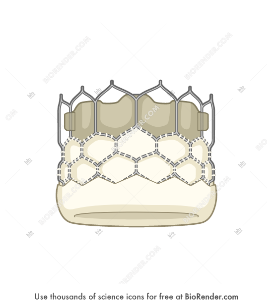 Tavr Icon Free Transcatheter aortic valve replacement (TAVR) Icons, Symbols ...