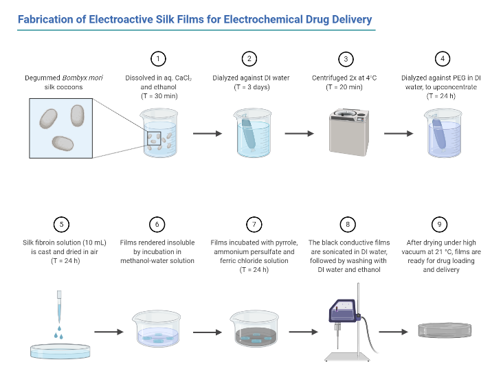 An editable high resolution scientific image depicting Fabrication of Electroactive Silk Films for Electrochemical Drug Delivery