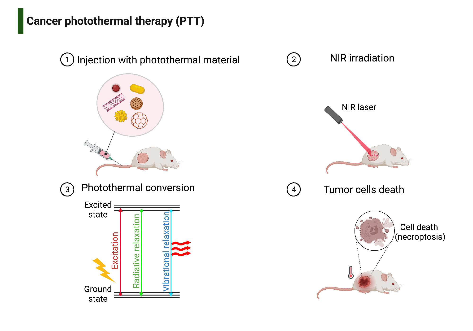 An editable high resolution scientific image depicting Cancer photothermal therapy