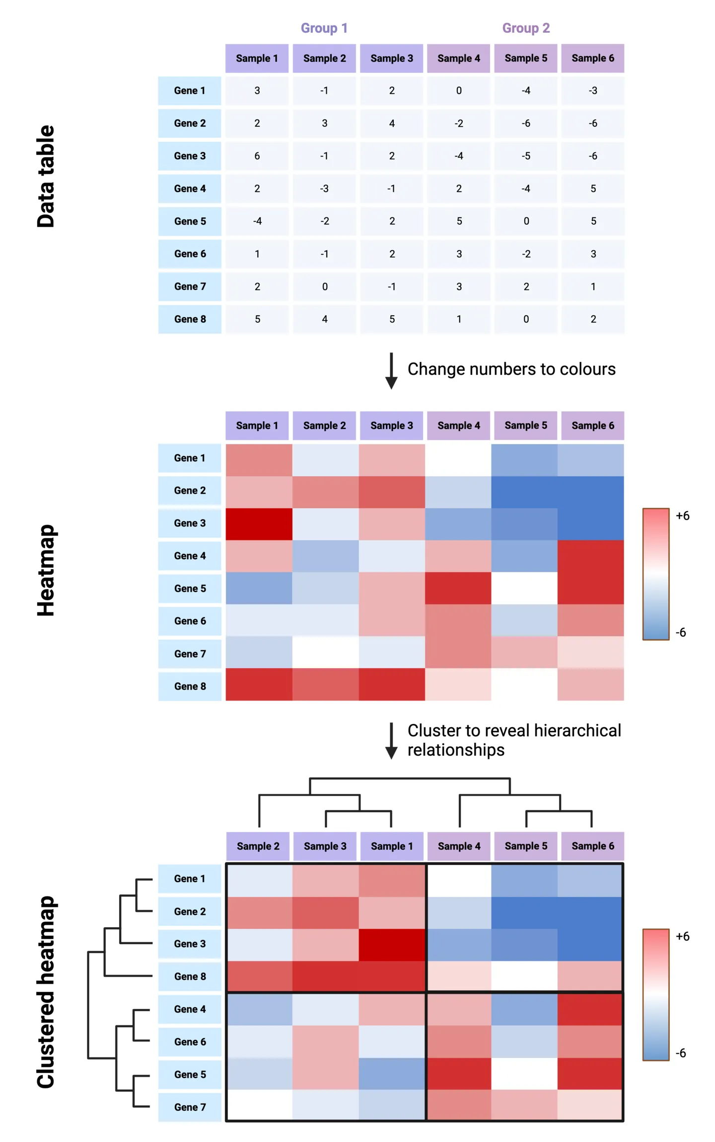 Data table - Heatmap - Clustered Heatmap