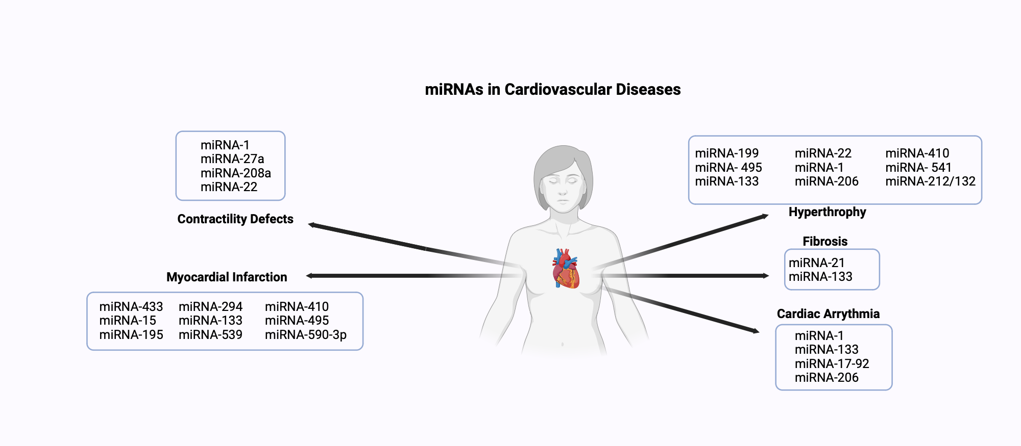 An editable high resolution scientific image depicting miRNAs in cardiovascular diseases