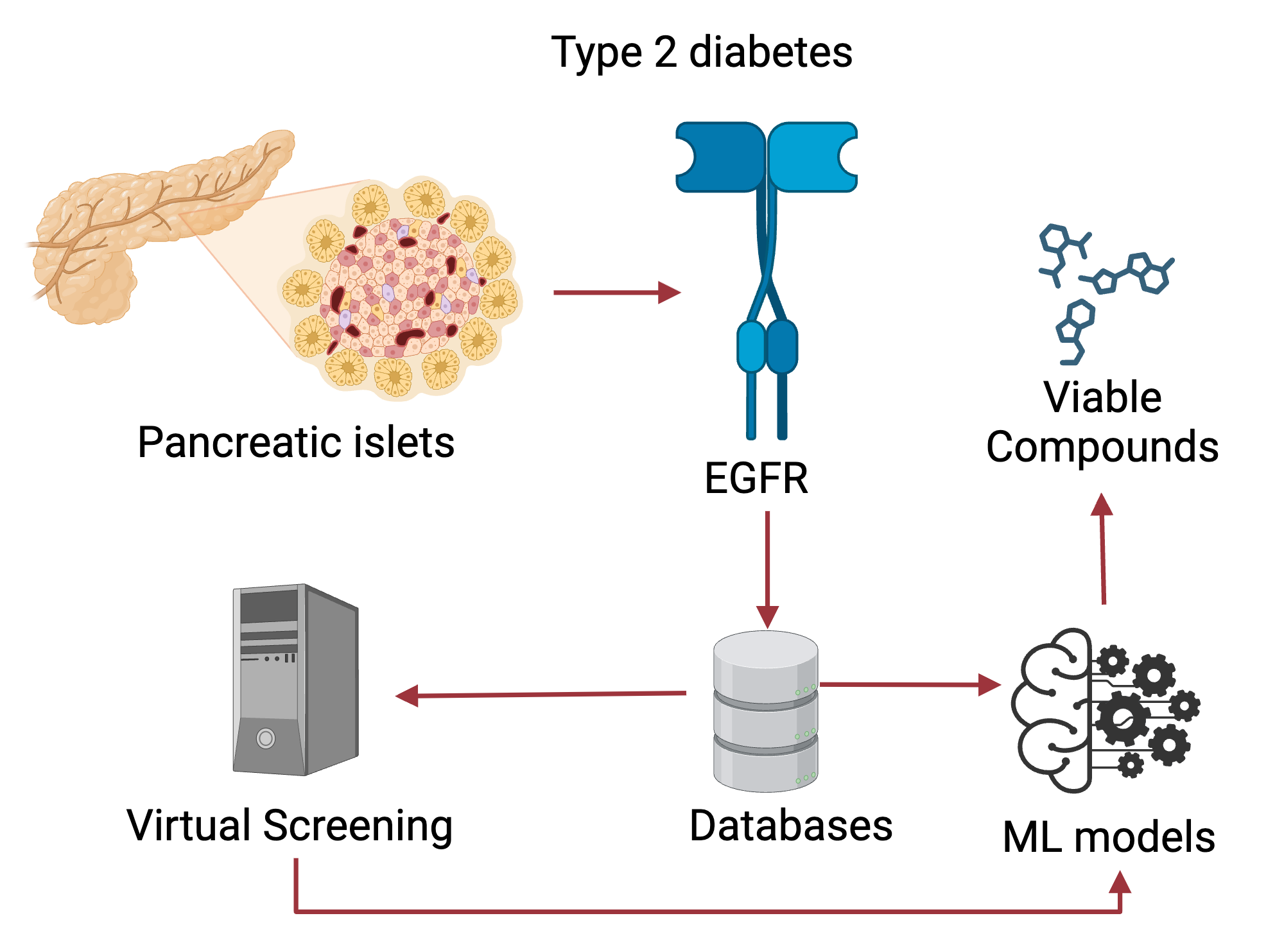 An editable high resolution scientific image depicting Virtual Screening of EGFR Inhibitors for Type 2 Diabetes Treatment