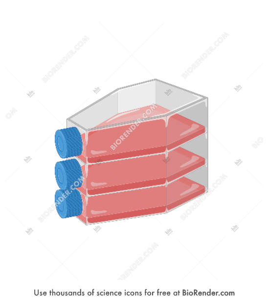 Free Cell culture flask (T75, stacked) Icons, Symbols & Images BioRender