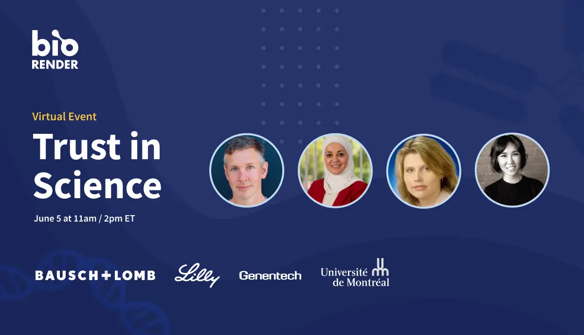 BioRender Learning Hub BioRender 101 TUM