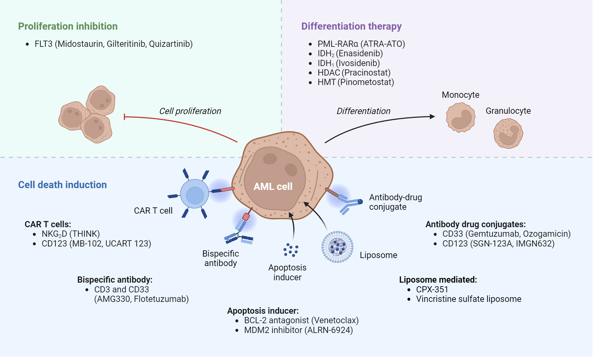 Acute Myeloid Leukemia Targets And Therapies Biorender Science Templates Acute Myeloid Leukemia Targets And Therapies Biorender Science Templates