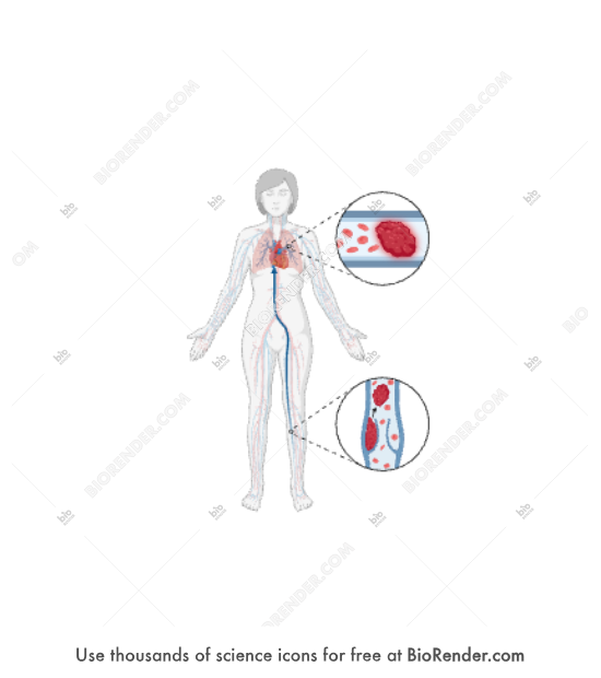 Free Diaphragm Icons Symbols Images BioRender