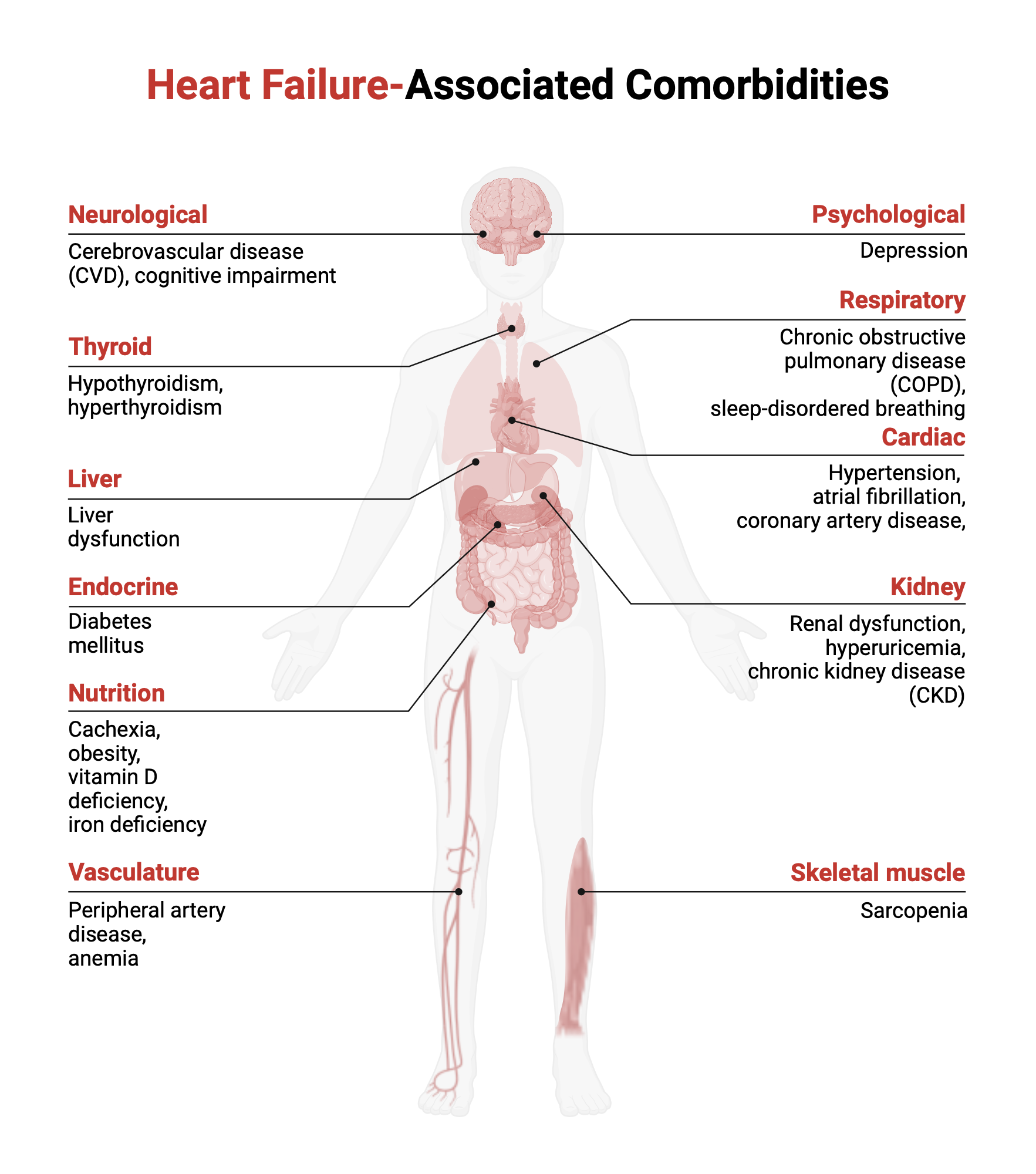 Afib + Bbb = Increased Heart Failure Risk?  Find Out Now - v3ce5tl