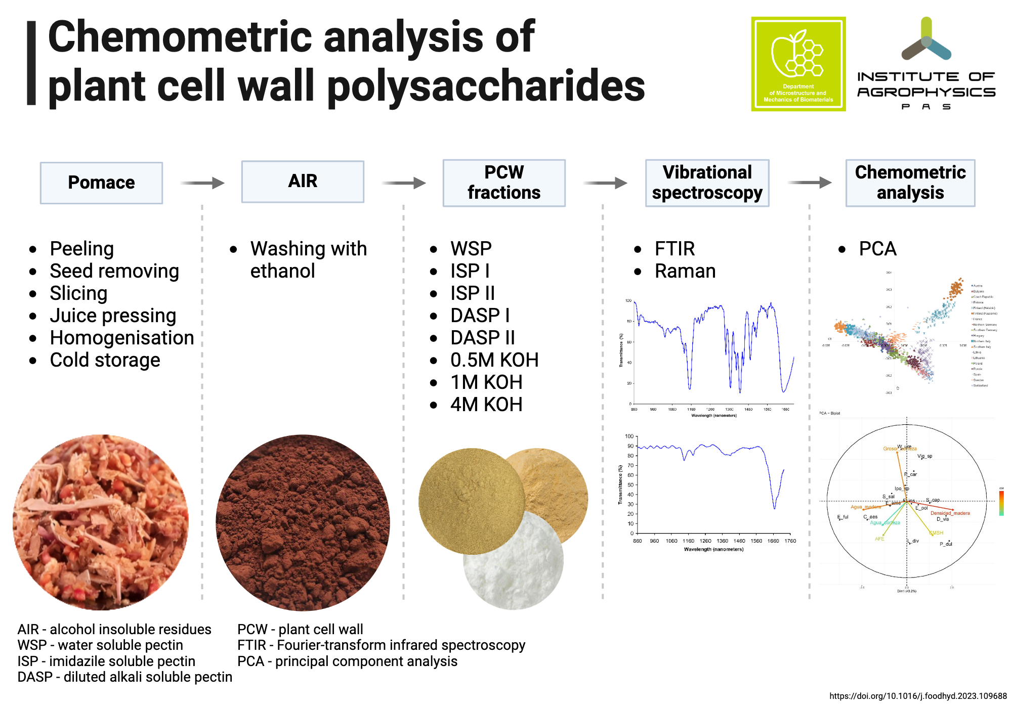 An editable high resolution scientific image depicting Chemometric analysis of plant cell wall polysaccharides