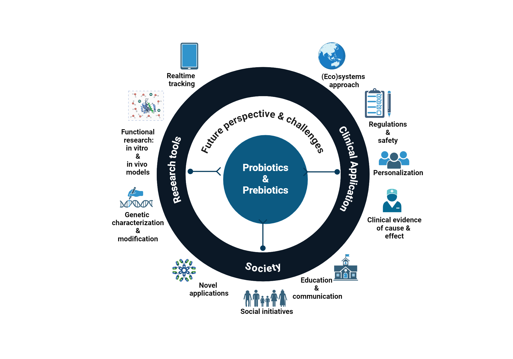An editable high resolution scientific image depicting Future Perspectives and Challenges in Synbiotic Research