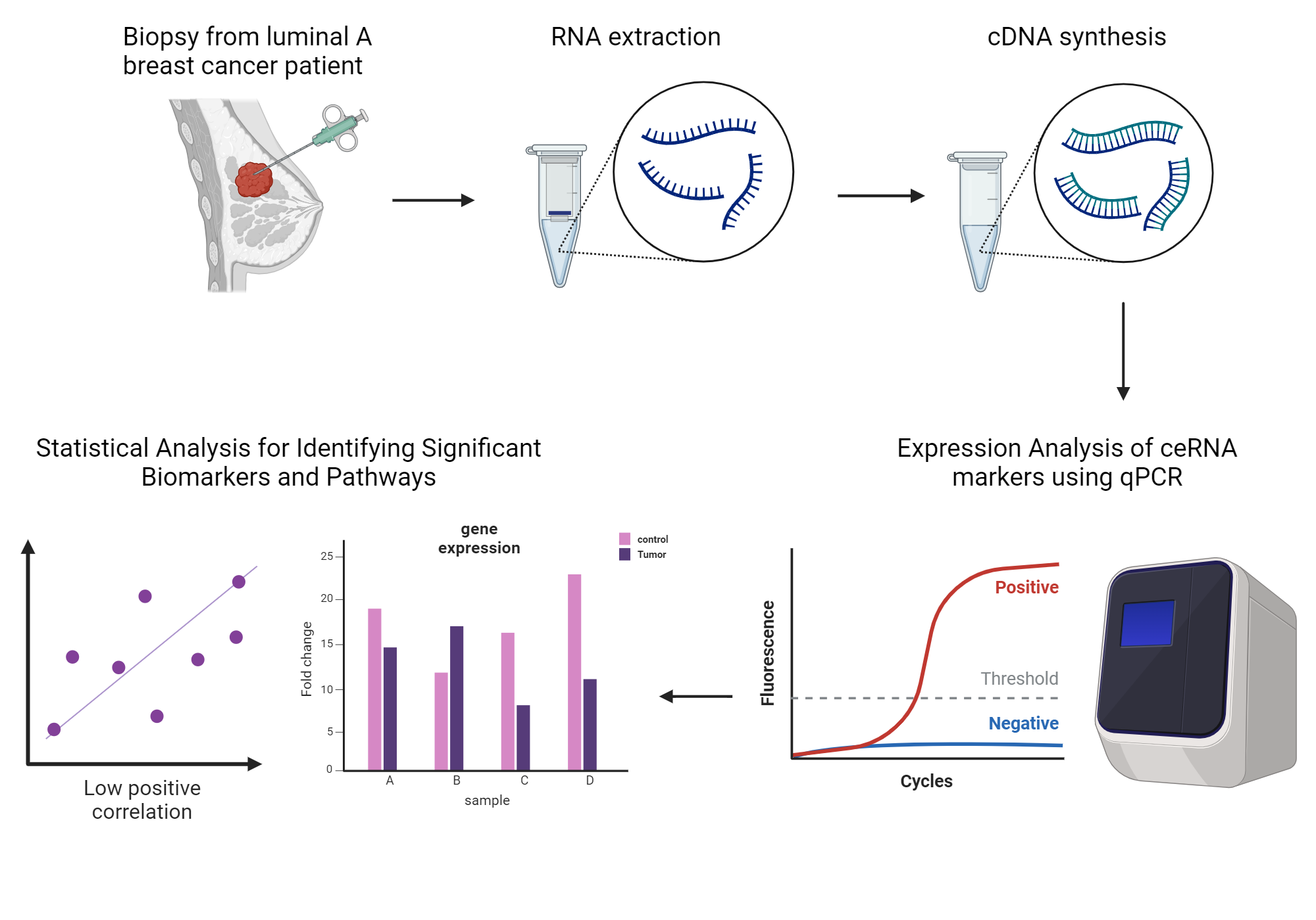 Exploring lncRNAmediated ceRNA network as a biomarker for luminal A