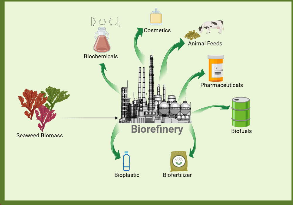 An editable high resolution scientific image depicting Biorefinery