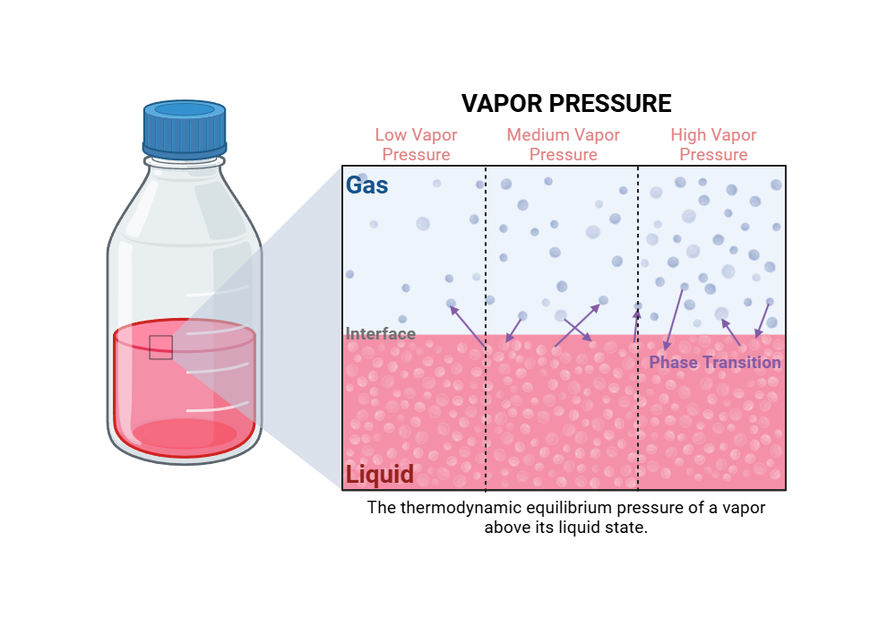 An editable high resolution scientific image depicting Vapor Pressure