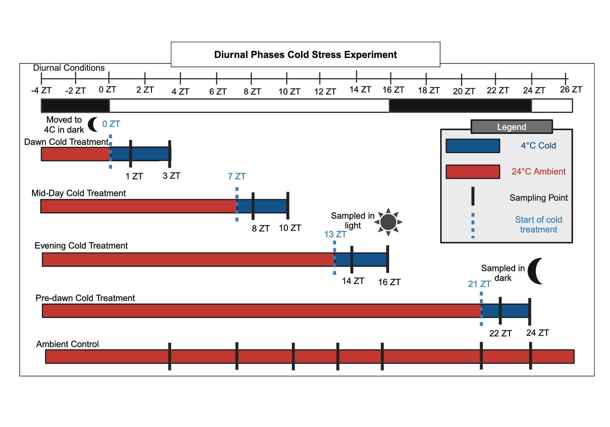 An editable high resolution scientific image depicting Diurnal Time Series Experiment