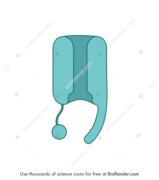 Ion channel (voltage-gated, active) - Editable icon of voltage-gated ion channel in open active conformation with loose ball and chain