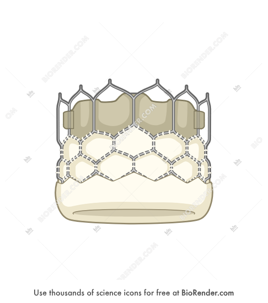 Transcatheter aortic valve replacement (TAVR)  - Editable icon of Circular aortic valve replacement composed of wire mesh and natural tissue.