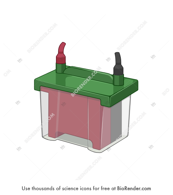 Western blotting equipment (Tank blotting cells) - Editable icon of Buffer tank with lid, with components--Gel holder cassette, electrodes, cooling mechanism inside.