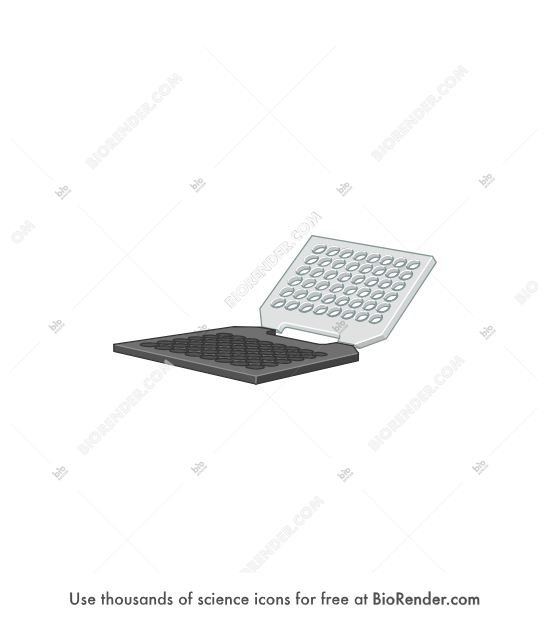 Western blotting equipment (gel holder cassette) - Editable icon of an open gel holder cassette for a western blot in a 3/4 view