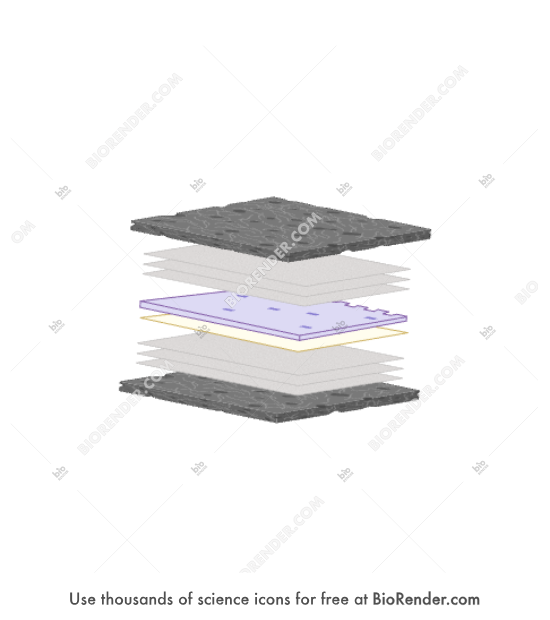 Western blotting equipment (electro transfer stack) - Editable icon of an electro transfer stack in an expanded view for a western blot in a 3/4 view