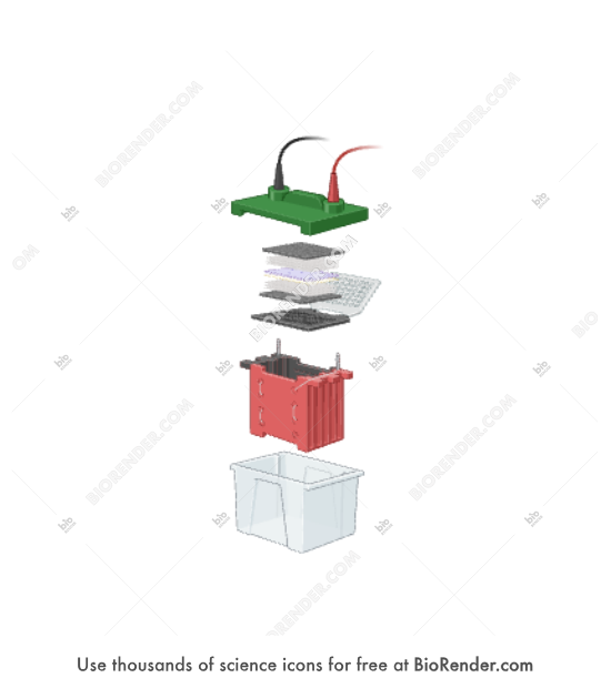 Western blotting equipment (electro transfer stack, expanded view) - Editable icon of western blotting equipment with an electro transfer stack in an expanded, 3/4 view