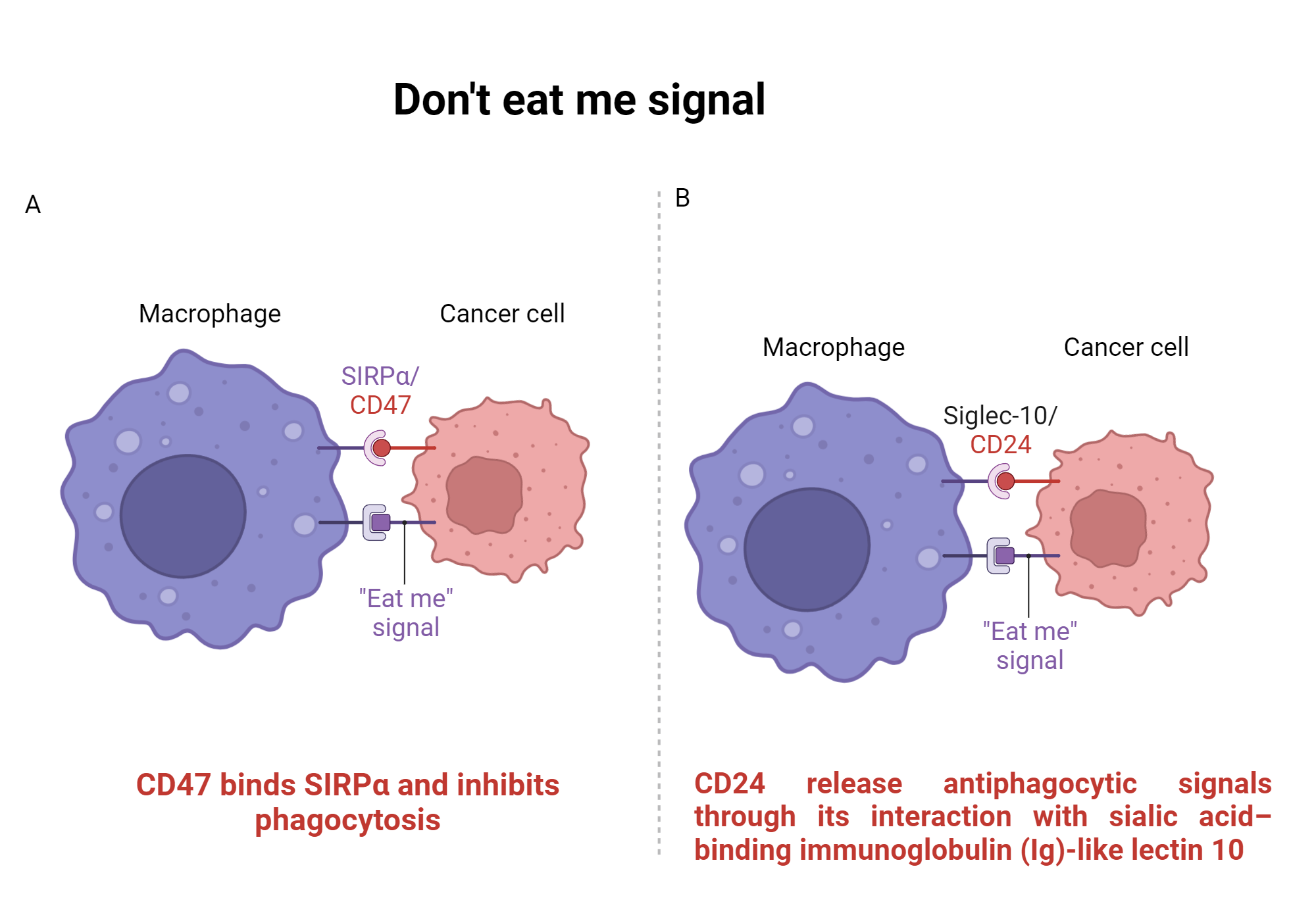 An editable high resolution scientific image depicting Don't eat me signal