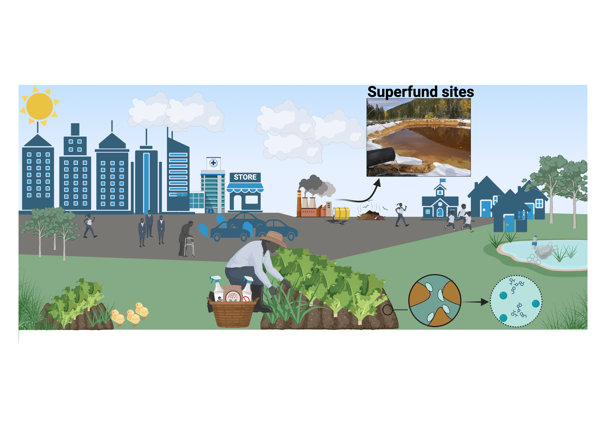 An editable high resolution scientific image depicting Urban Gardens