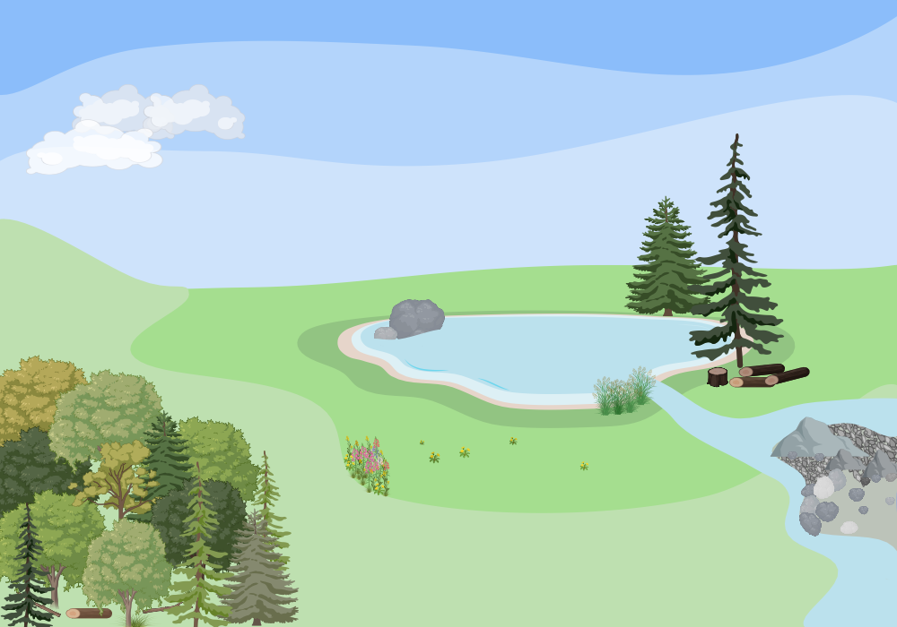 An editable high resolution scientific image depicting Temperate ecosystem