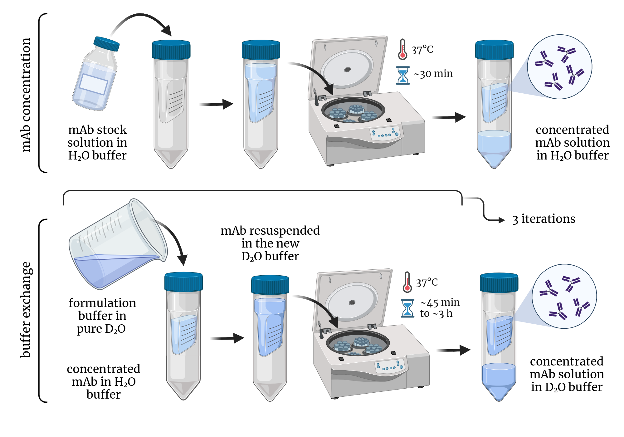 An editable high resolution scientific image depicting Buffer exchange via ultra-centrifugation for mAbs
