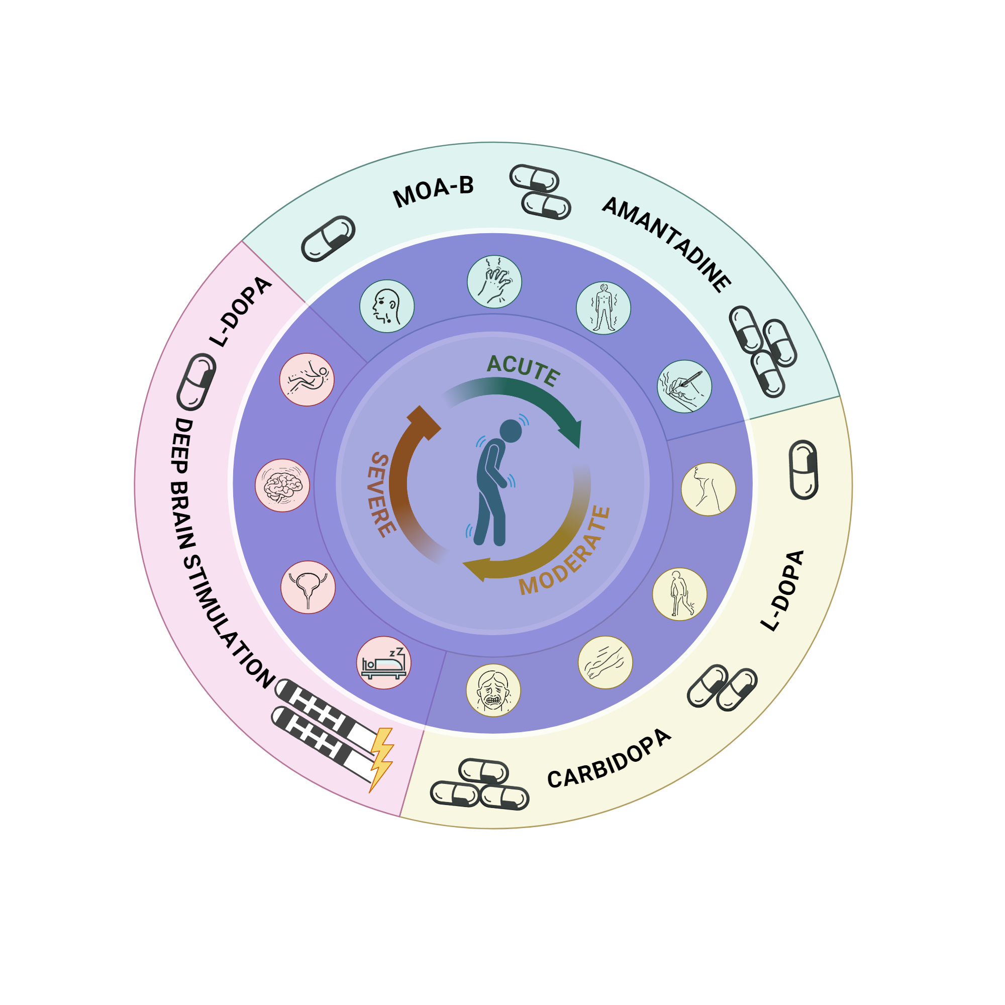 An editable high resolution scientific image depicting Parkinson's Disease Clinical Summary