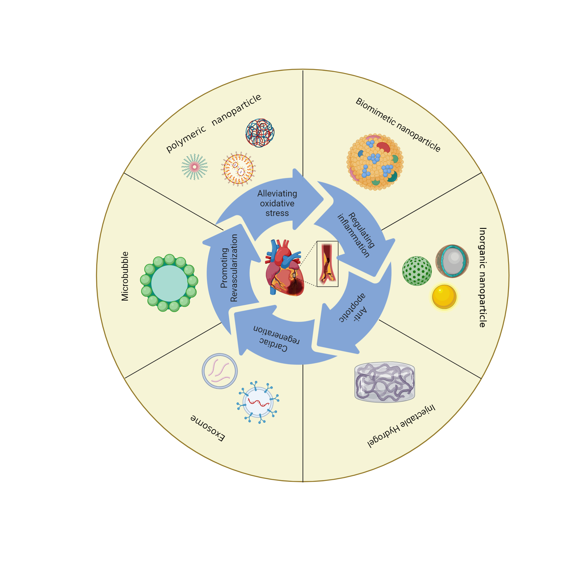An editable high resolution scientific image depicting Common nanocarriers for myocardial ischemia-reperfusion therapy.