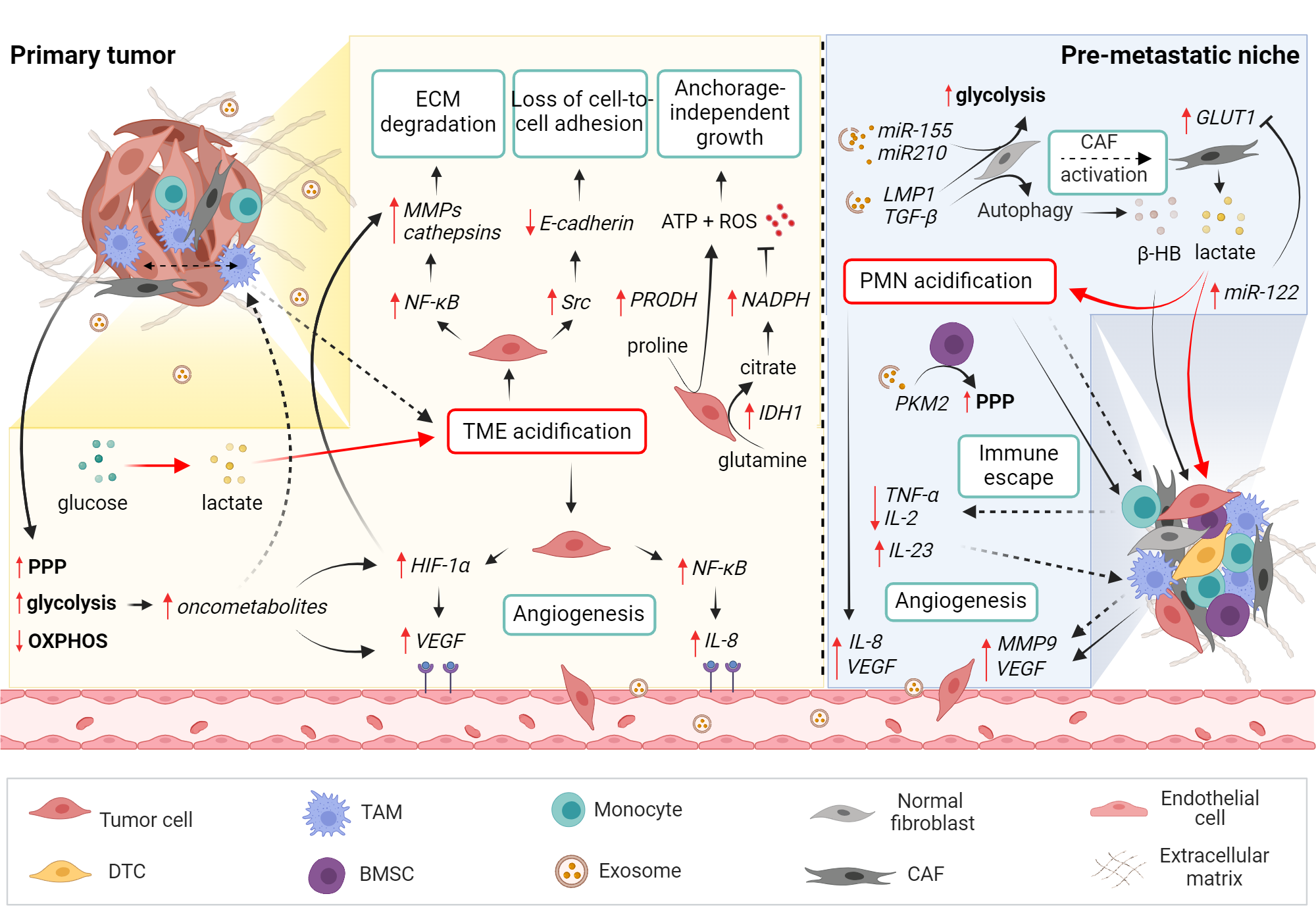 An editable high resolution scientific image depicting Exosome-related metabolic priming of metastatic niche