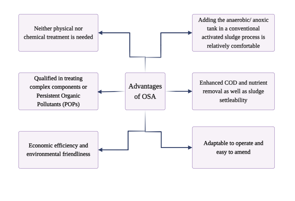 An editable high resolution scientific image depicting The oxic-settling-anaerobic (OSA)