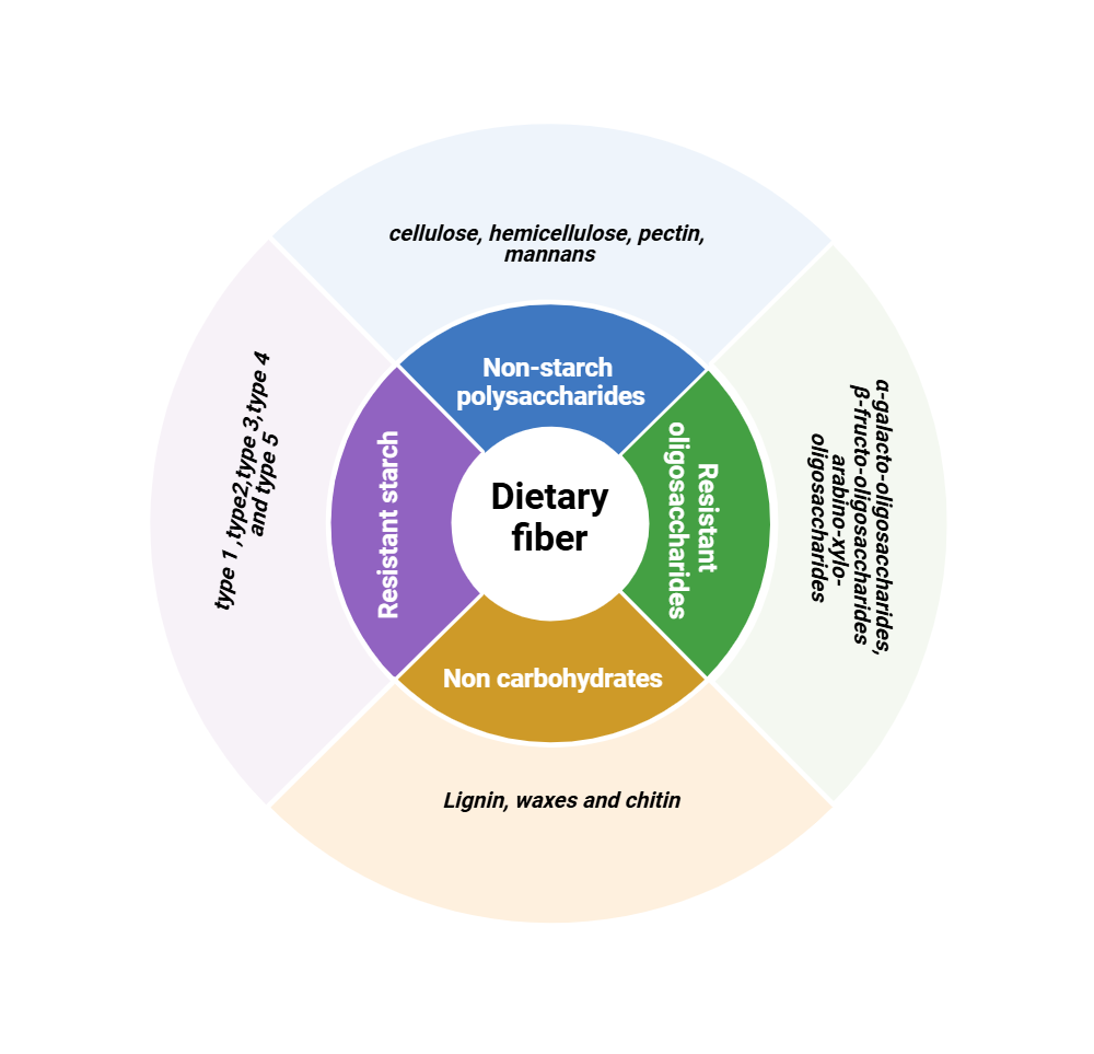 An editable high resolution scientific image depicting Dietary Fiber