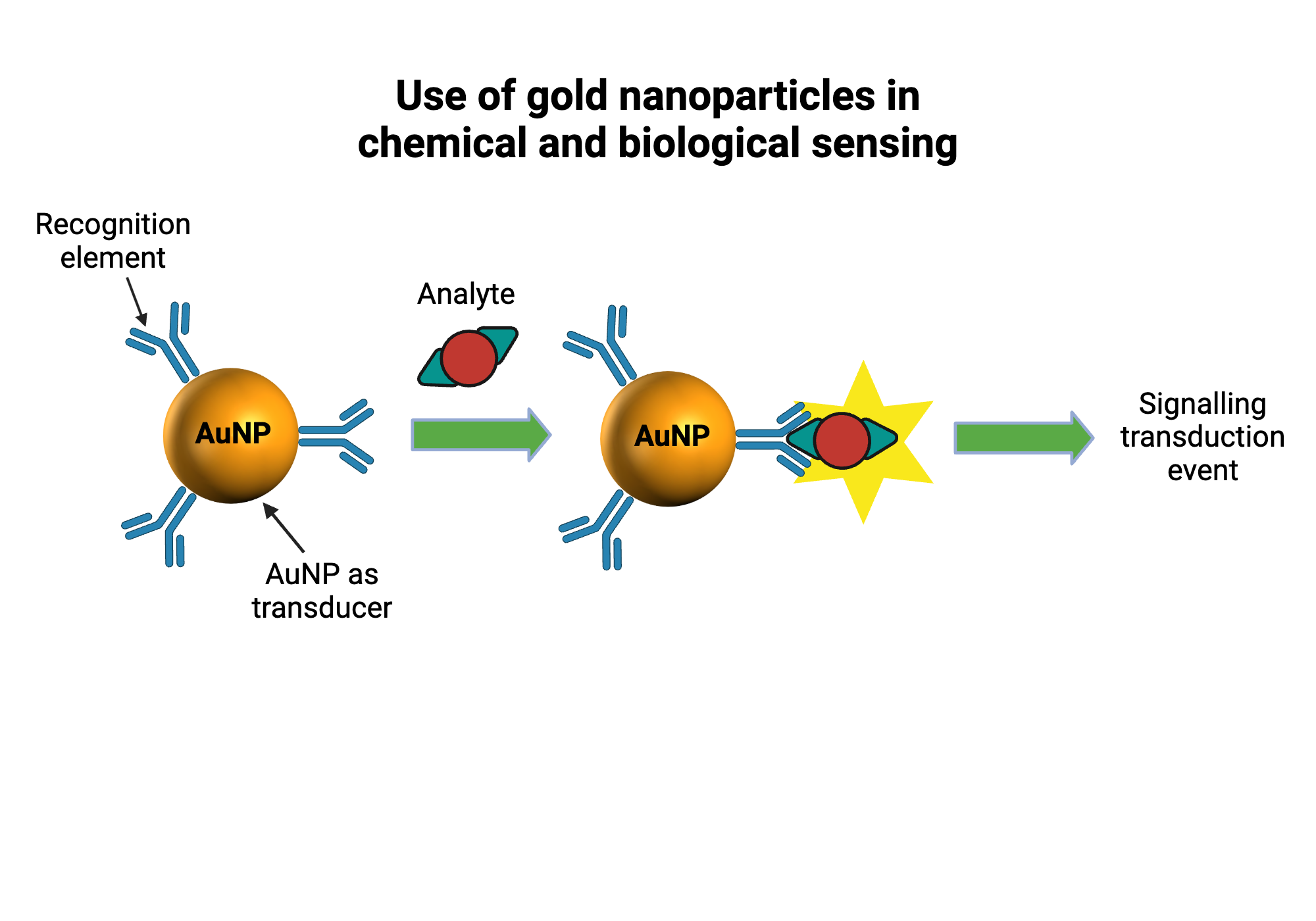 An editable high resolution scientific image depicting Use of gold nanoparticles can be used in chemical and biological sensing applications