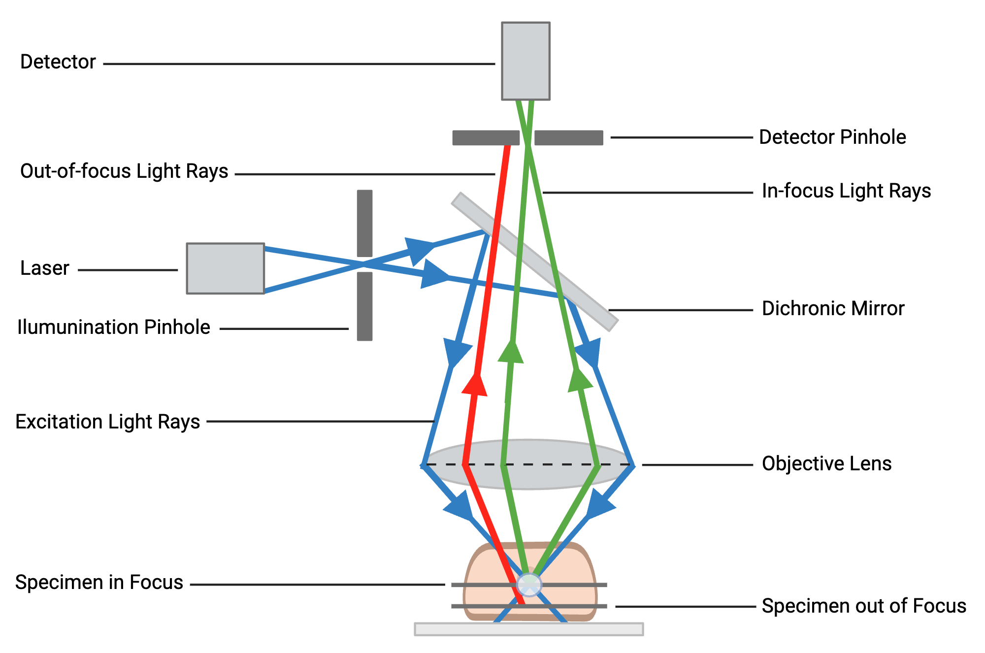 An editable high resolution scientific image depicting Confocal Principle