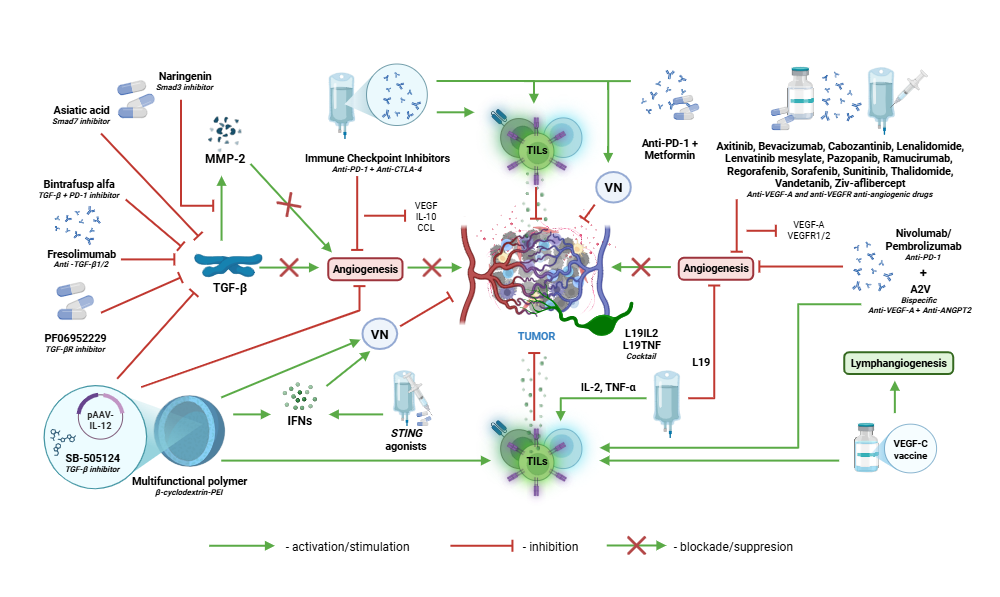 An editable high resolution scientific image depicting Synergistic potential of anti-angiogenic therapy and immune checkpoint inhibitors