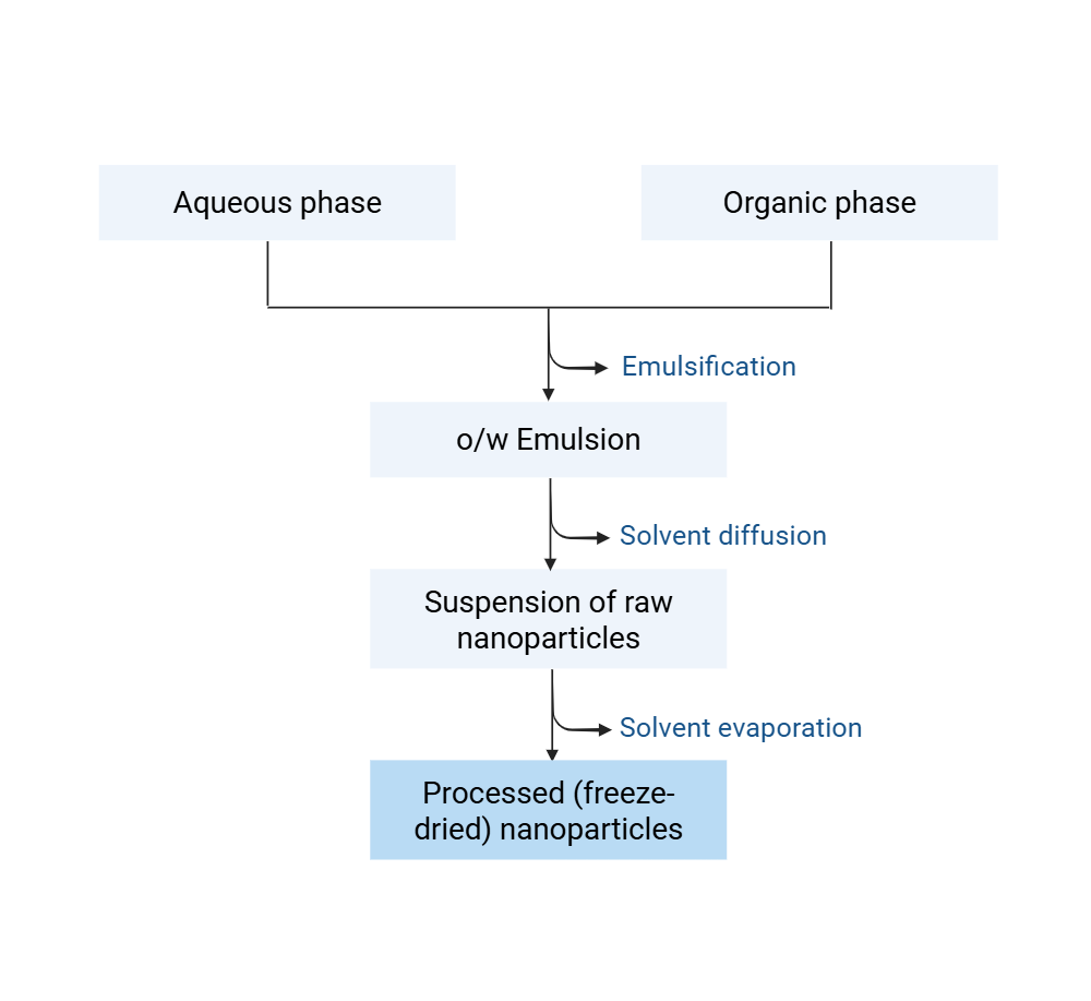 An editable high resolution scientific image depicting Nanosuspension/Nanoemulsion formulation