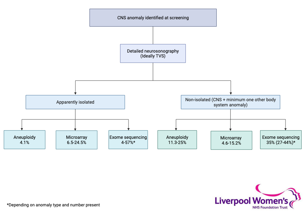 An editable high resolution scientific image depicting Yields of prenatal genetic testing in CNS anomalies