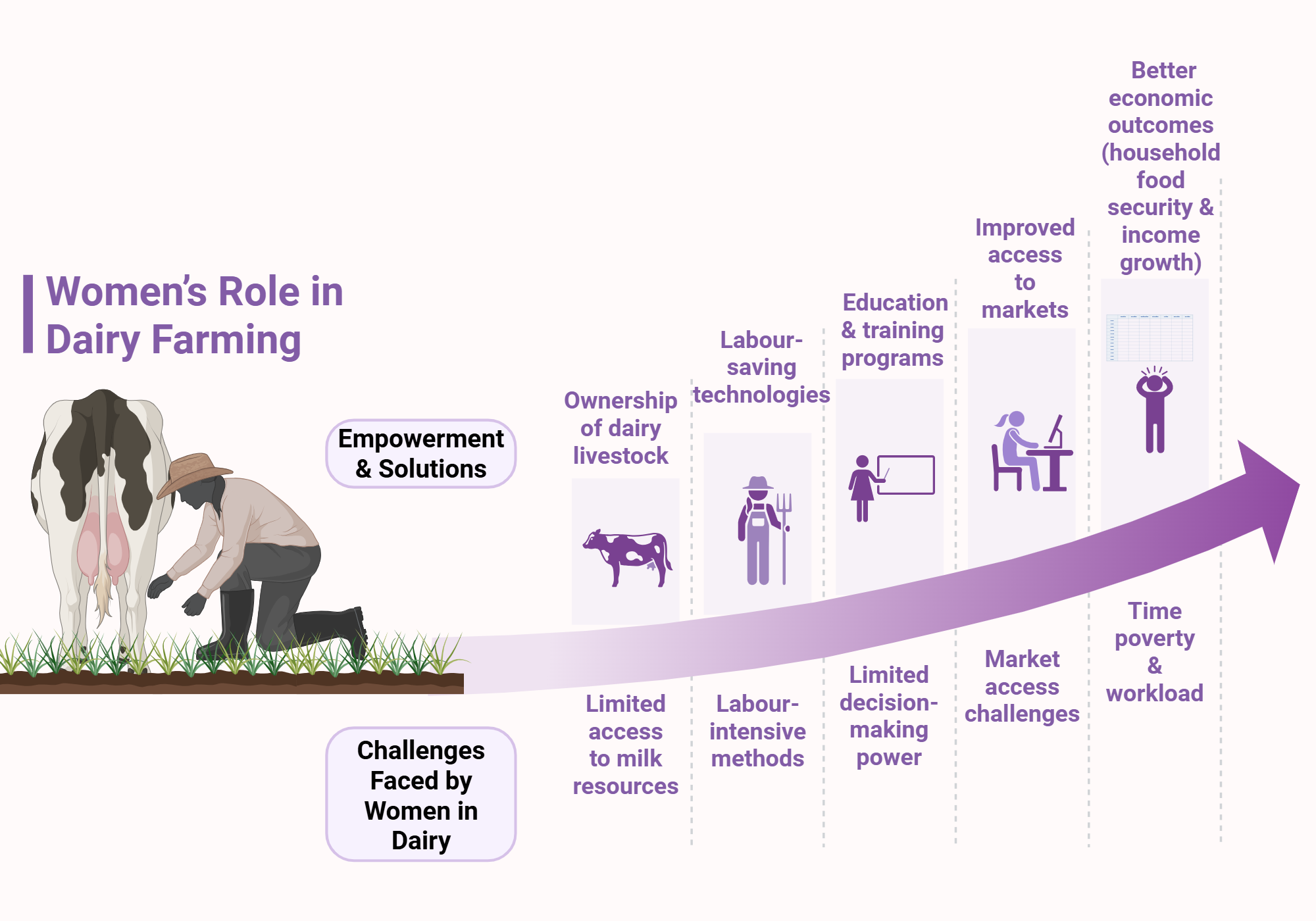 An editable high resolution scientific image depicting Women in dairy