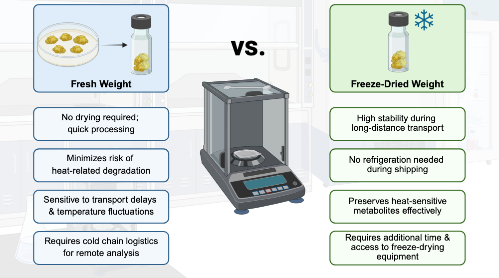 An editable high resolution scientific image depicting Comparison of Fresh Weight vs. Freeze-Dried Weight for Sample Processing