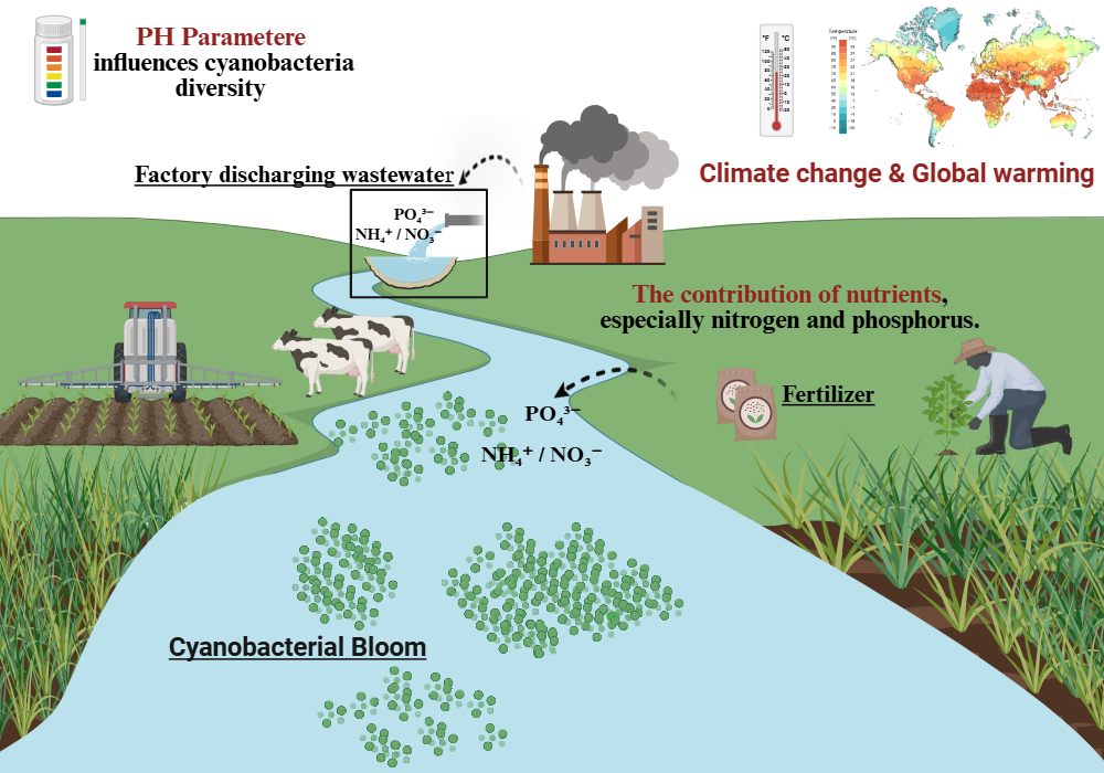 An editable high resolution scientific image depicting Factors Influencing Cyanobacterial Proliferation