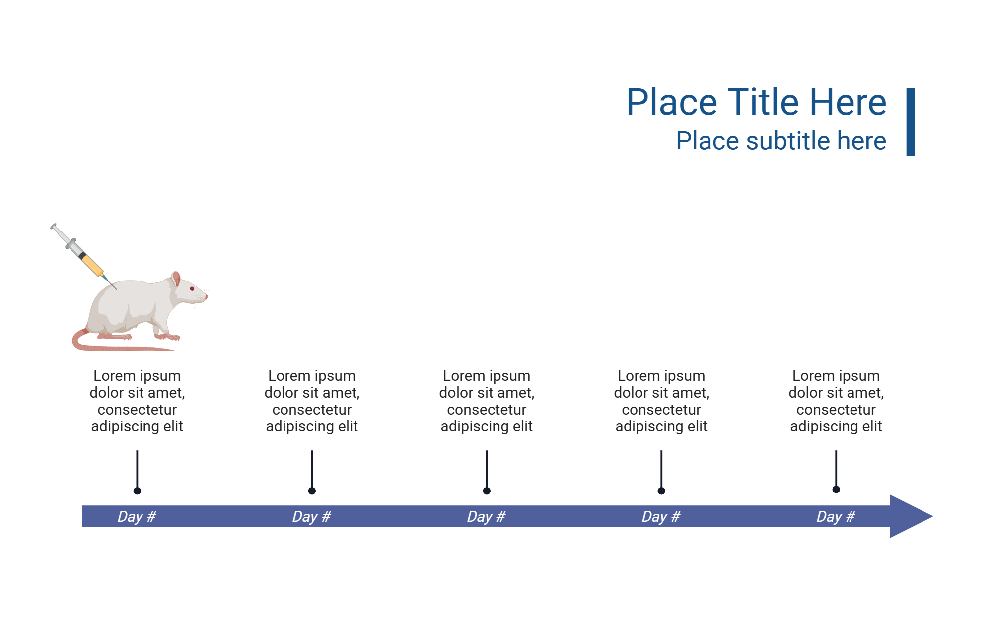 An editable high resolution scientific image depicting Rat Timeline (Layout)