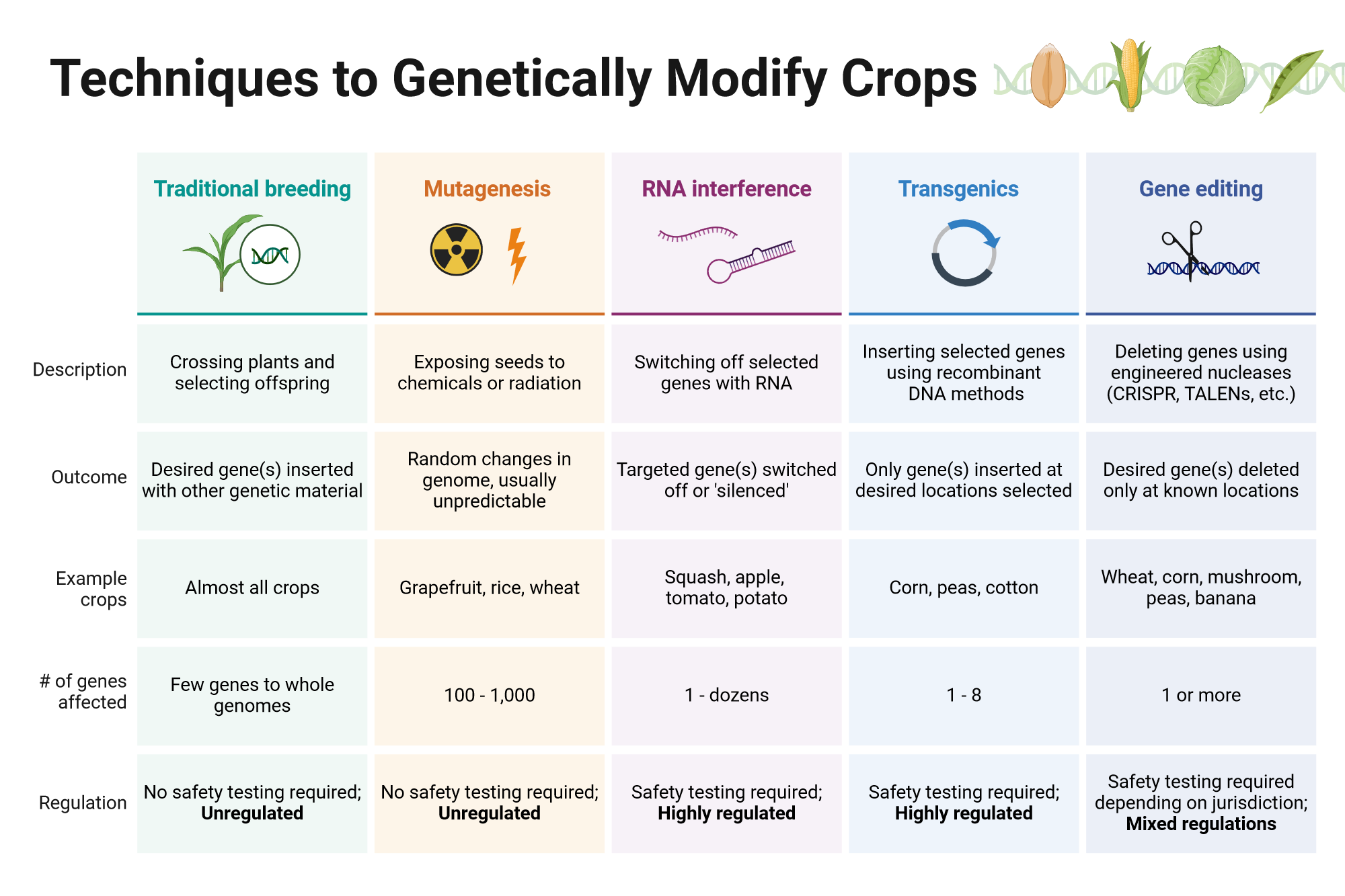 An editable high resolution scientific image depicting Techniques to Genetically Modify Crops